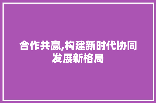 合作共赢,构建新时代协同发展新格局