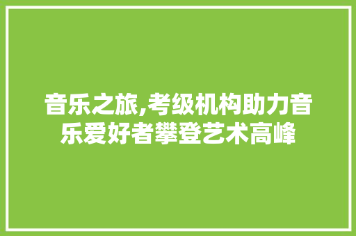 音乐之旅,考级机构助力音乐爱好者攀登艺术高峰