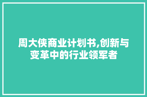 周大侠商业计划书,创新与变革中的行业领军者