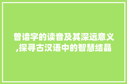 曾谙字的读音及其深远意义,探寻古汉语中的智慧结晶_曾谙字的读音是什么意思