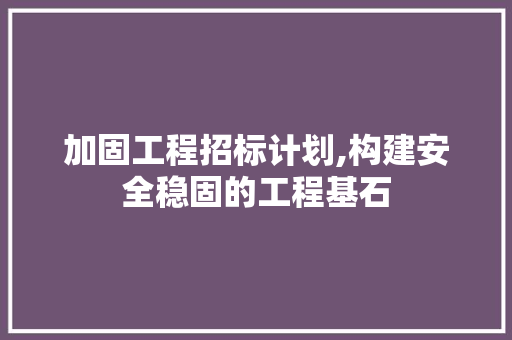 加固工程招标计划,构建安全稳固的工程基石