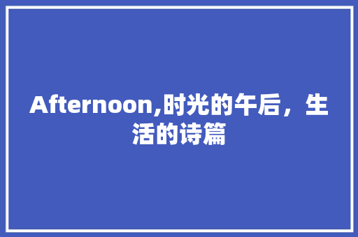 Afternoon,时光的午后，生活的诗篇