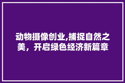 动物摄像创业,捕捉自然之美，开启绿色经济新篇章