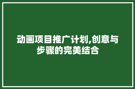 动画项目推广计划,创意与步骤的完美结合
