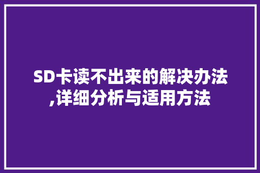 SD卡读不出来的解决办法,详细分析与适用方法