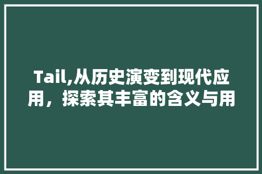 Tail,从历史演变到现代应用，探索其丰富的含义与用法