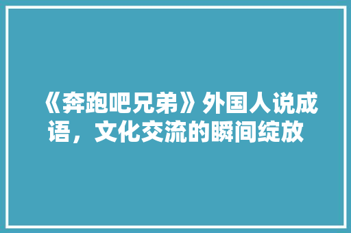 《奔跑吧兄弟》外国人说成语，文化交流的瞬间绽放