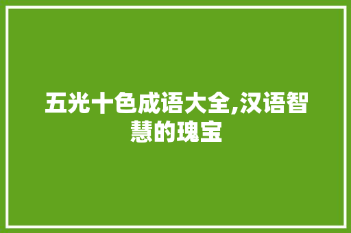 五光十色成语大全,汉语智慧的瑰宝