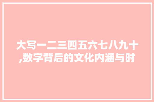 大写一二三四五六七八九十,数字背后的文化内涵与时代变迁