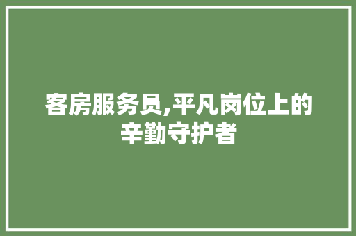 客房服务员,平凡岗位上的辛勤守护者