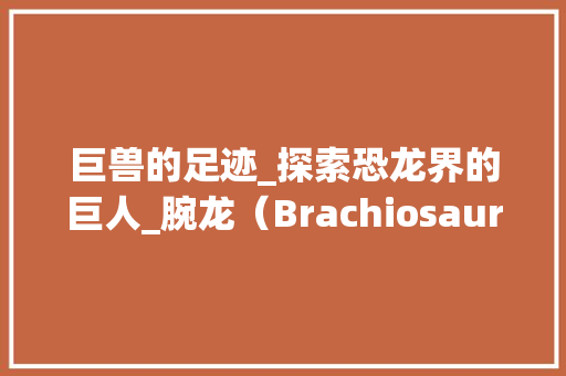 巨兽的足迹_探索恐龙界的巨人_腕龙（Brachiosaurus）