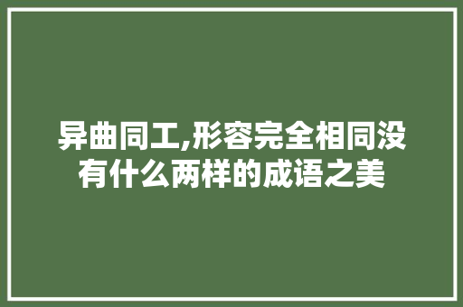 异曲同工,形容完全相同没有什么两样的成语之美