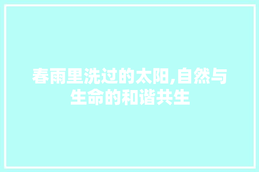 春雨里洗过的太阳,自然与生命的和谐共生
