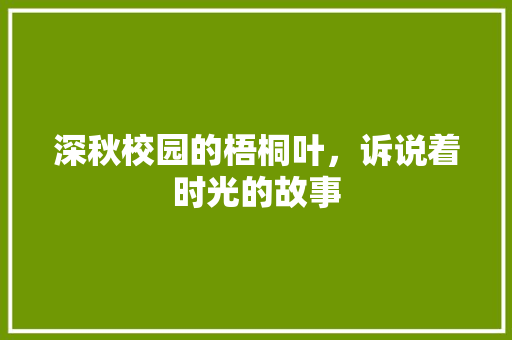 深秋校园的梧桐叶，诉说着时光的故事