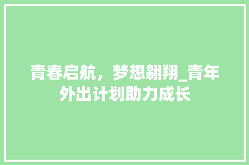 青春启航，梦想翱翔_青年外出计划助力成长