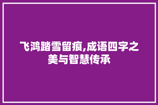 飞鸿踏雪留痕,成语四字之美与智慧传承 成语汇编