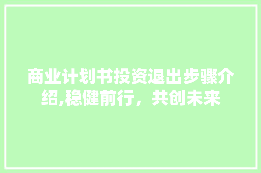 商业计划书投资退出步骤介绍,稳健前行，共创未来