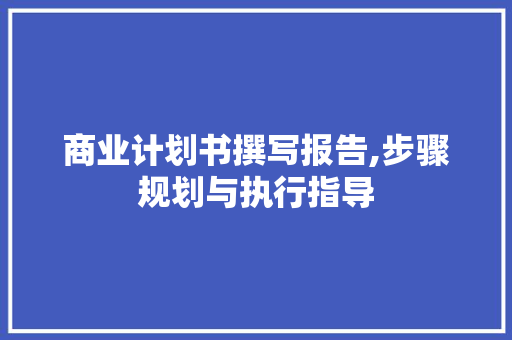 商业计划书撰写报告,步骤规划与执行指导 英语单词