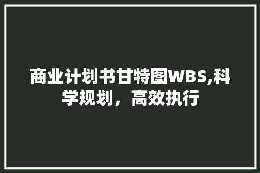 商业计划书甘特图WBS,科学规划，高效执行 汉字拼音