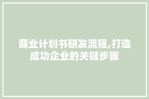 商业计划书研发流程,打造成功企业的关键步骤