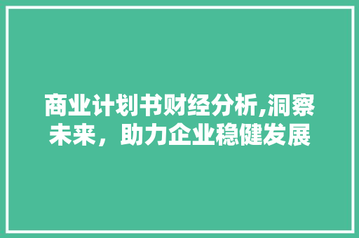 商业计划书财经分析,洞察未来，助力企业稳健发展