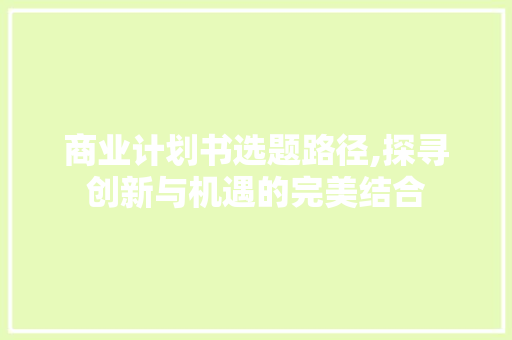 商业计划书选题路径,探寻创新与机遇的完美结合 近义词汇
