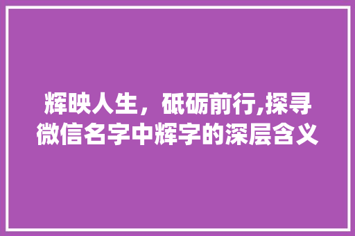 辉映人生，砥砺前行,探寻微信名字中辉字的深层含义_微信名字男带辉字的意思