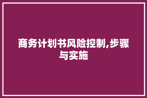 商务计划书风险控制,步骤与实施