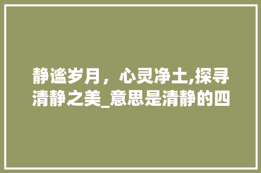 静谧岁月，心灵净土,探寻清静之美_意思是清静的四字词语