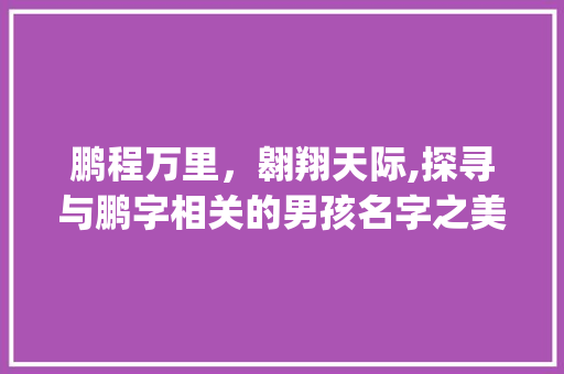 鹏程万里，翱翔天际,探寻与鹏字相关的男孩名字之美_跟鹏字有意思的名字男孩