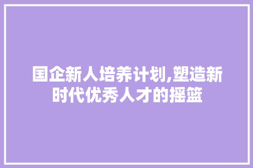 国企新人培养计划,塑造新时代优秀人才的摇篮 成语汇编