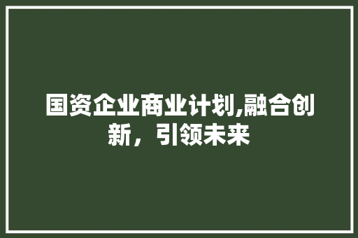 国资企业商业计划,融合创新，引领未来 近义词汇