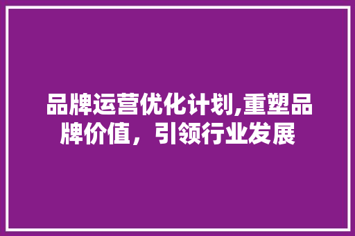 品牌运营优化计划,重塑品牌价值，引领行业发展