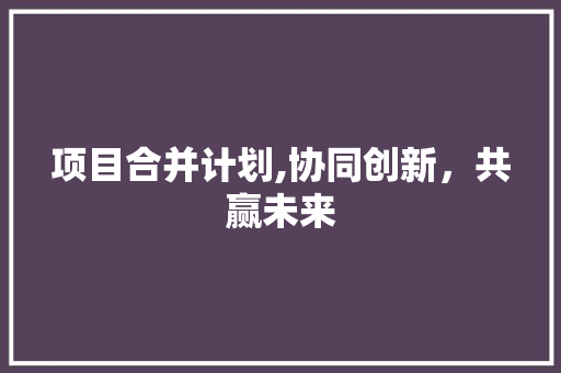 项目合并计划,协同创新，共赢未来