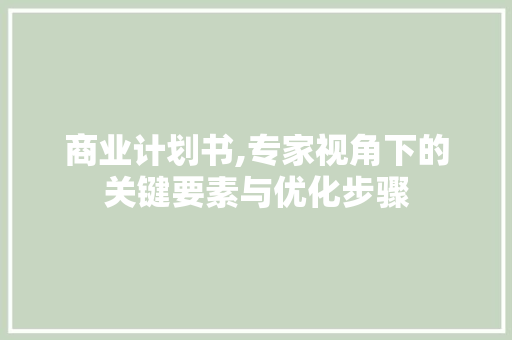 商业计划书,专家视角下的关键要素与优化步骤