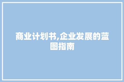 商业计划书,企业发展的蓝图指南 短语