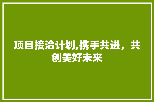 项目接洽计划,携手共进，共创美好未来