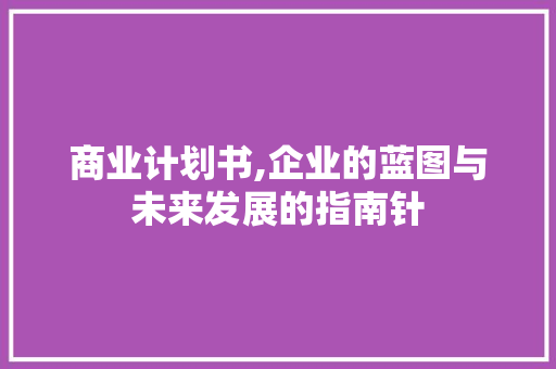 商业计划书,企业的蓝图与未来发展的指南针 反义词汇