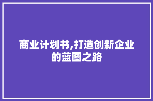 商业计划书,打造创新企业的蓝图之路