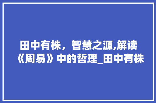 田中有株，智慧之源,解读《周易》中的哲理_田中有株的字是什么意思
