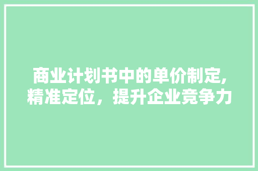商业计划书中的单价制定,精准定位，提升企业竞争力
