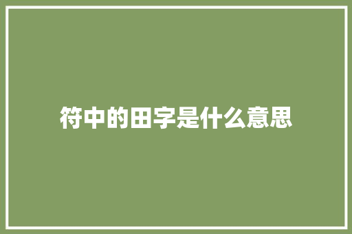 符中的田字是什么意思