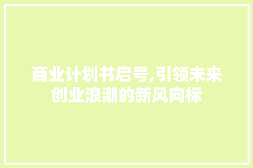 商业计划书启号,引领未来创业浪潮的新风向标