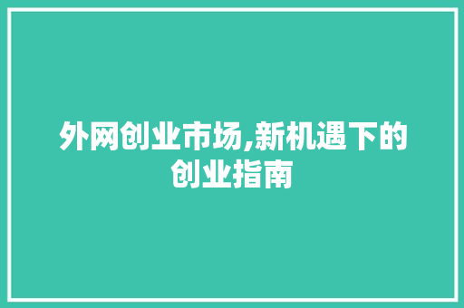 外网创业市场,新机遇下的创业指南