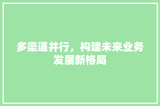 多渠道并行，构建未来业务发展新格局