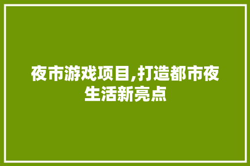 夜市游戏项目,打造都市夜生活新亮点