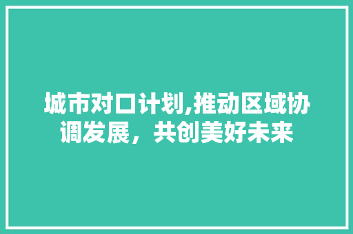 城市对口计划,推动区域协调发展，共创美好未来