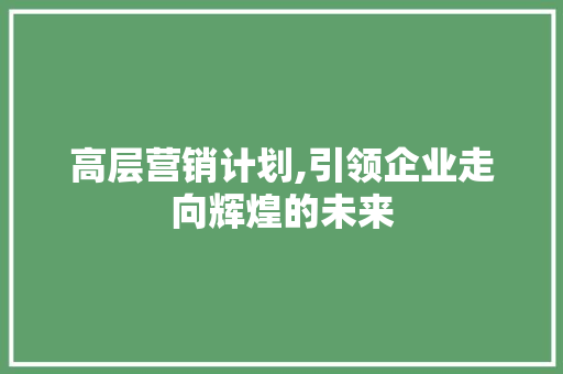 高层营销计划,引领企业走向辉煌的未来