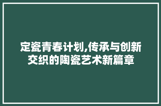 定瓷青春计划,传承与创新交织的陶瓷艺术新篇章