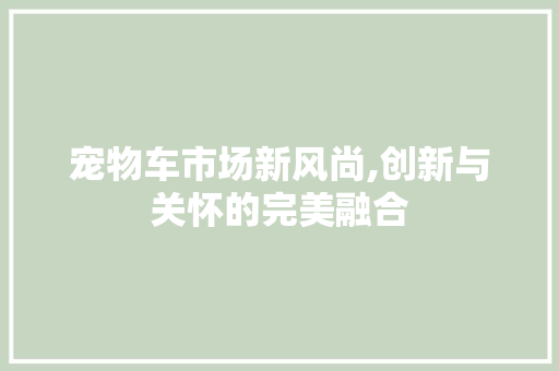 宠物车市场新风尚,创新与关怀的完美融合 成语汇编